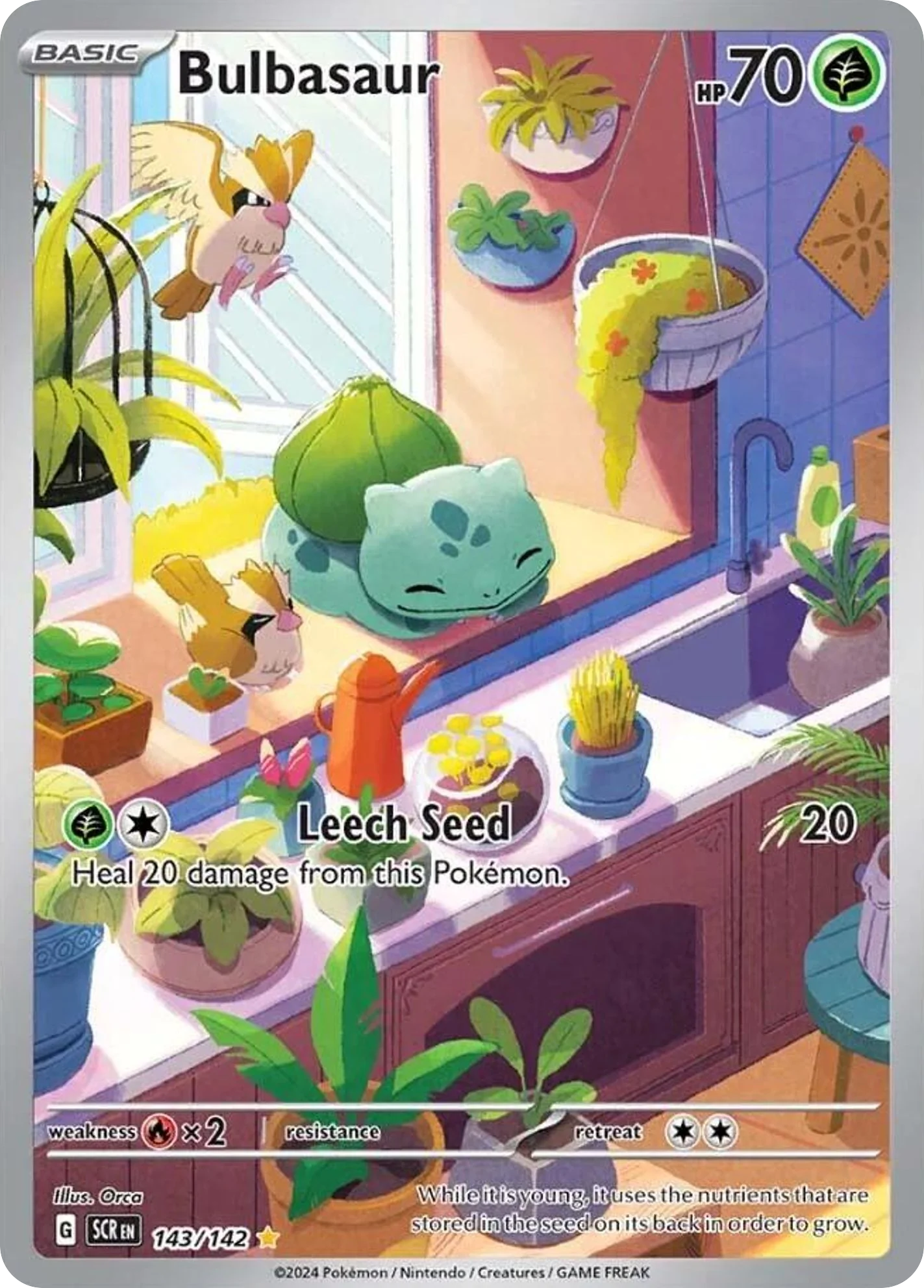 Bulbasaur IR